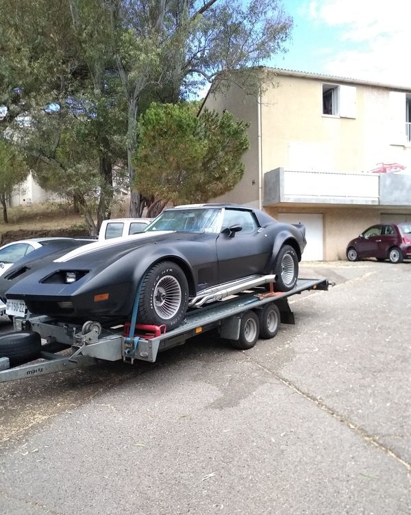 Remorque porte voiture Ptra 2t700