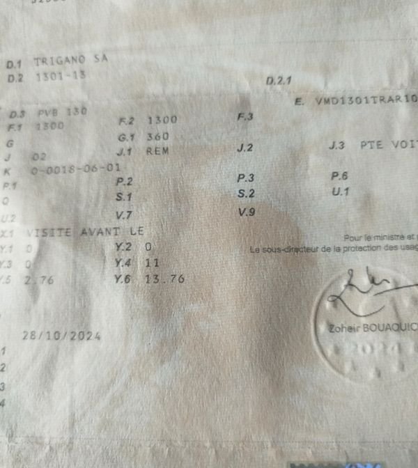 Remorque porte voiture trigano 3