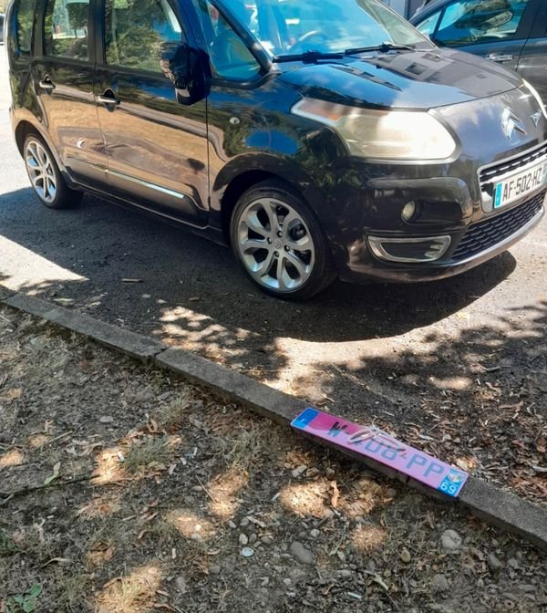 C3 Picasso 2010 2