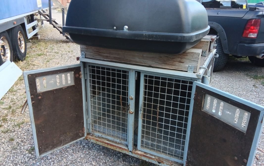 Remorque a chien 2 places avec coffre de toit 2