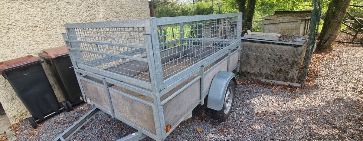 Remorque 500 kg 2
