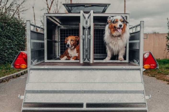 Kit transport animaux lider neuf - 4 box - NEUF 2