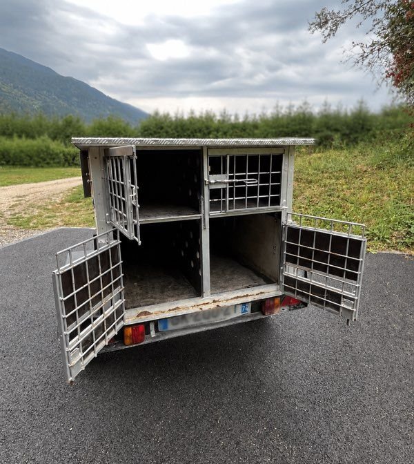 Remorque transport chiens 2