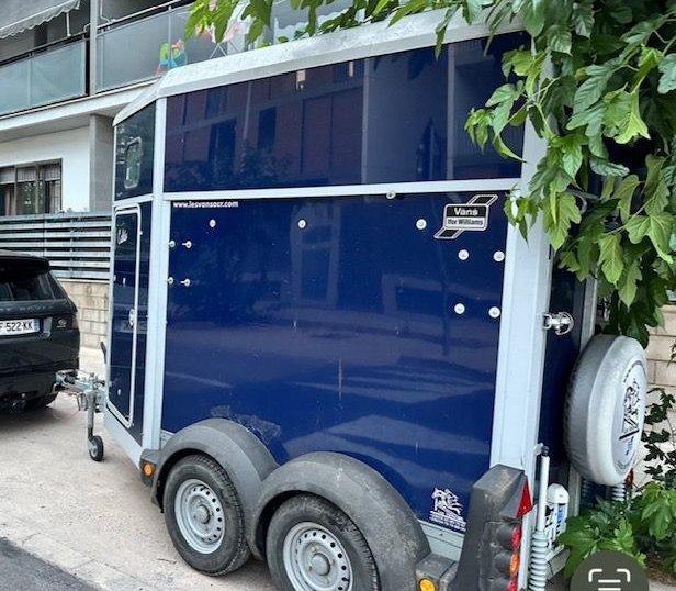 Van Ifor Williams HB403 2