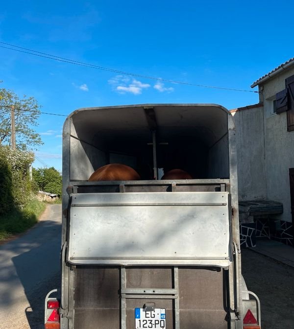 Van/Remorque 2 chevaux 3