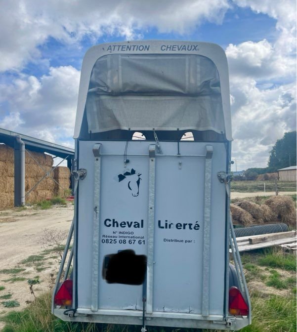 Van cheval liberté