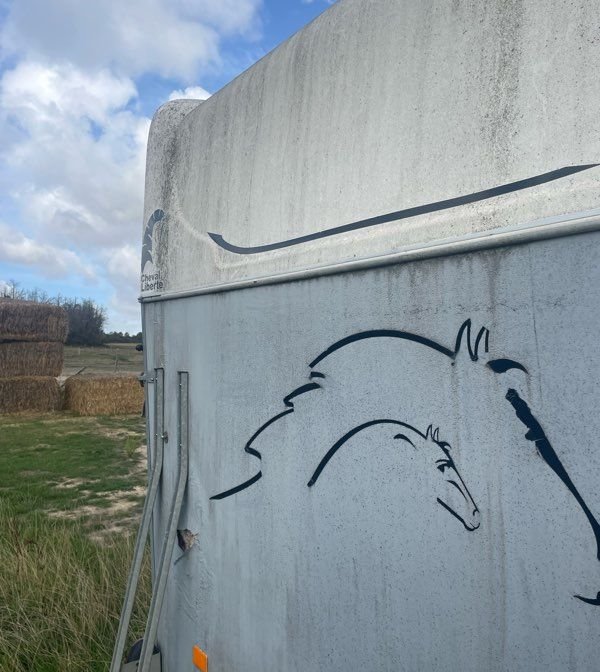 Van cheval liberté 3