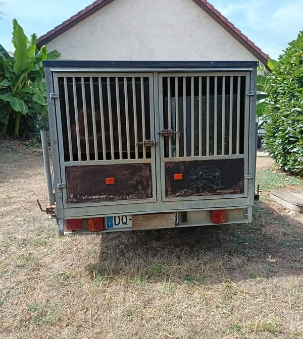 Remorque chiens